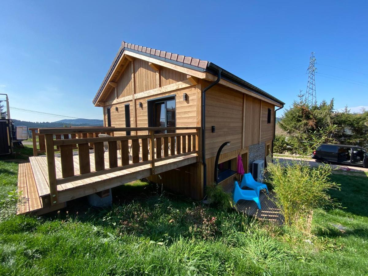 L'Adret Du Temps Chalet 10 Personnes 170M2 Gérardmer Dış mekan fotoğraf