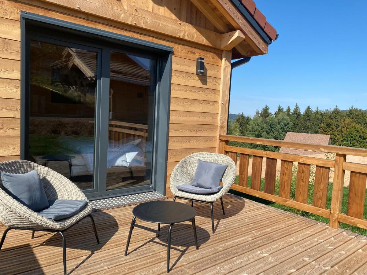 L'Adret Du Temps Chalet 10 Personnes 170M2 Gérardmer Dış mekan fotoğraf
