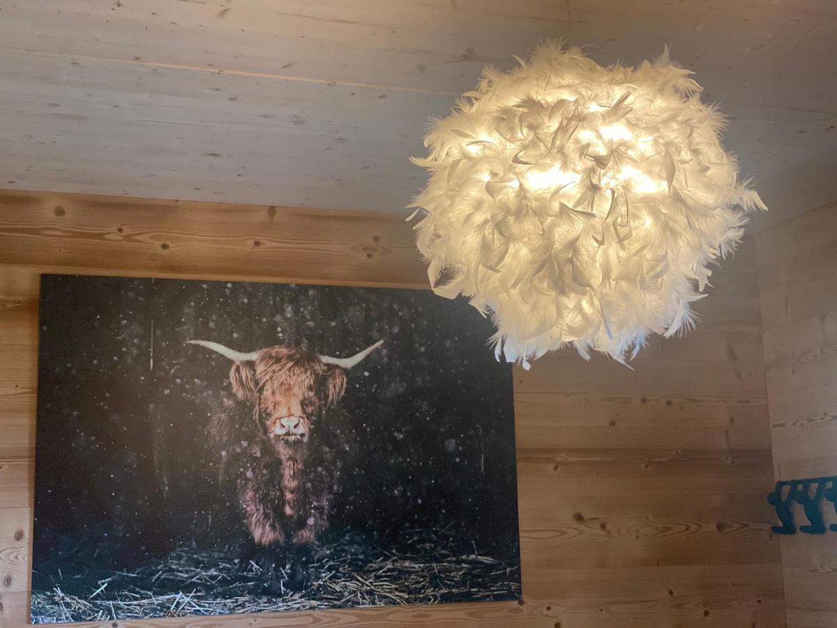 L'Adret Du Temps Chalet 10 Personnes 170M2 Gérardmer Dış mekan fotoğraf